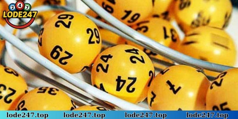 Đầu đuôi câm luôn là thống kê quan trọng hàng đầu