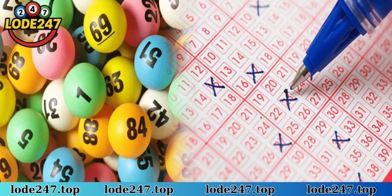 Kho dữ liệu Big Data của Lô Đề 247 minh bạch cho lô thủ