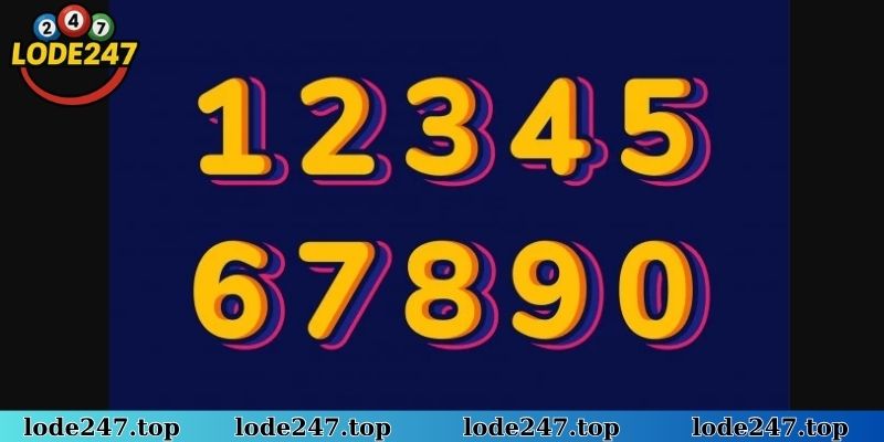 Lô Đề 247 cung cấp dữ liệu kiểm tra dàn đề 24 số quanh năm