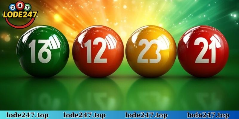 Quản lý vốn chi tiết khi nuôi dàn đề bất tử theo khung dài hạn