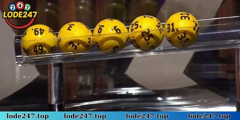 Thời điểm săn lô kép bạch thủ chuẩn không cần chỉnh